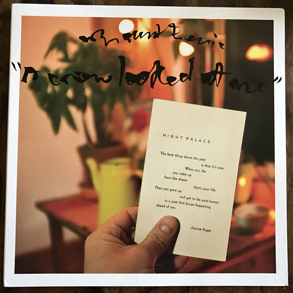 Mount Eerie: A Crow Looked at Me (2017)